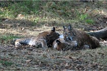 SteCroix 16-09-28 1272   Photos ACG 2016