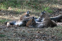 SteCroix 16-09-28 1276   Photos ACG 2016