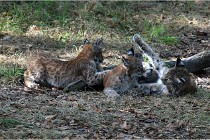 SteCroix 16-09-28 1277   Photos ACG 2016