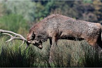 SteCroix 16-09-28 1315   Photos ACG 2016