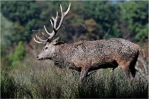 SteCroix 16-09-28 1318   Photos ACG 2016