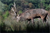 SteCroix 16-09-28 1323   Photos ACG 2016