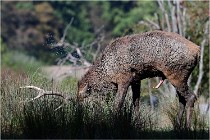 SteCroix 16-09-28 1331   Photos ACG 2016