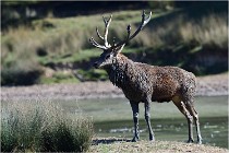 SteCroix 16-09-29 1496   Photos ACG 2016