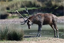 SteCroix 16-09-29 1497   Photos ACG 2016