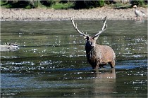 SteCroix 16-09-29 1602   Photos ACG 2016