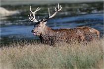 SteCroix 16-09-29 1614   Photos ACG 2016