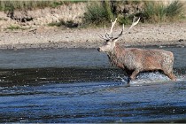 SteCroix 16-09-29 1701   Photos ACG 2016