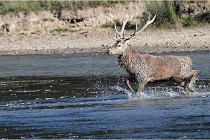 SteCroix 16-09-29 1702   Photos ACG 2016