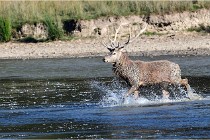 SteCroix 16-09-29 1704   Photos ACG 2016