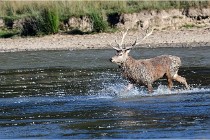 SteCroix 16-09-29 1705   Photos ACG 2016