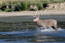 SteCroix 16-09-29 1706   Photos ACG 2016