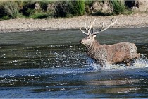 SteCroix 16-09-29 1707   Photos ACG 2016