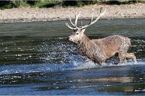 SteCroix 16-09-29 1708   Photos ACG 2016