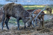 SteCroix 16-09-29 1735   Photos ACG 2016