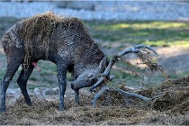 SteCroix 16-09-29 1739   Photos ACG 2016