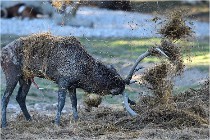 SteCroix 16-09-29 1744   Photos ACG 2016