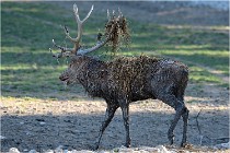 SteCroix 16-09-29 1751   Photos ACG 2016