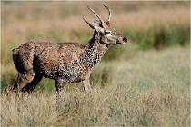 SteCroix 16-09-29 1802   Photos ACG 2016