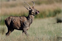 SteCroix 16-09-29 1804   Photos ACG 2016