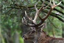 SteCroix 16-09-30 0395   Photos ACG 2016