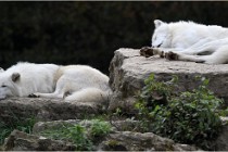 SteCroix 16-09-30 0402   Photos ACG 2016