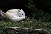 SteCroix 16-09-30 0403   Photos ACG 2016