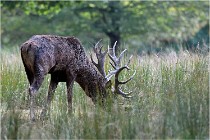 SteCroix 16-09-30 0442   Photos ACG 2016