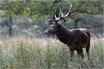 SteCroix 16-09-30 0461   Photos ACG 2016