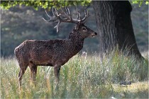 SteCroix 16-09-30 0486   Photos ACG 2016