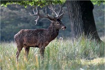 SteCroix 16-09-30 0500   Photos ACG 2016