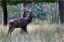 SteCroix 16-09-30 0551   Photos ACG 2016