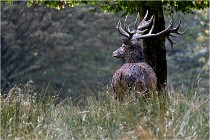 SteCroix 16-09-30 0586   Photos ACG 2016