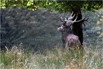 SteCroix 16-09-30 0590   Photos ACG 2016