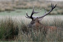 SteCroix 16-09-30 0608   Photos ACG 2016