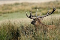 SteCroix 16-09-30 0618   Photos ACG 2016