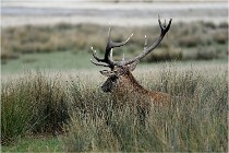 SteCroix 16-09-30 0620   Photos ACG 2016