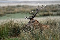 SteCroix 16-09-30 0625   Photos ACG 2016