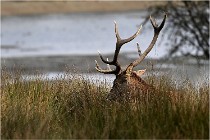 SteCroix 16-09-30 0639   Photos ACG 2016