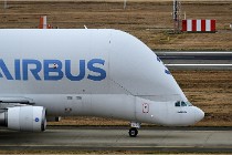 Cugnaux 16-10-13 2359   Photos ACG 2016