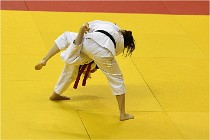 Judo Paris 16-11-26 258   Photos ACG 2016