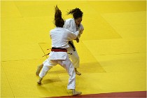 Judo Paris 16-11-26 286   Photos ACG 2016