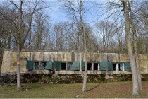 ACG 5859  Photo ACG 2017