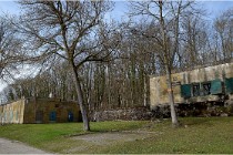 ACG 5860  Photo ACG 2017