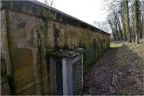 ACG 5862  Photo ACG 2017