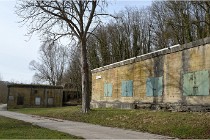 ACG 5863  Photo ACG 2017