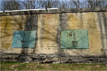 ACG 5864  Photo ACG 2017