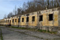 ACG 5866  Photo ACG 2017