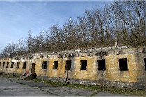 ACG 5868  Photo ACG 2017