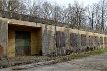 ACG 5871  Photo ACG 2017